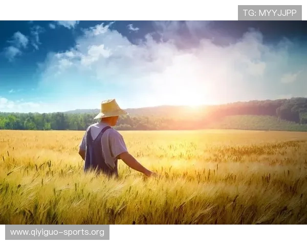 天空体育的国家归属详解，帮助用户全面认识其背景和发展历程